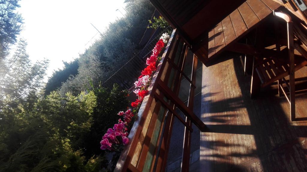 Agriturismo Baita Marina Albenga Exterior foto